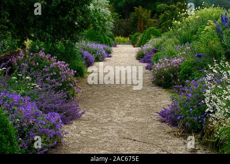 Bordure bleue,plantation,bleu,jardins d'Altamont Corona au nord de la frontière commémorative,plantes,frontière frontière frontières,double,géranium,nepetia,de,technique mixte Banque D'Images