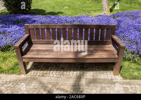 Banc en bois trouvés au milieu d'un parc Banque D'Images