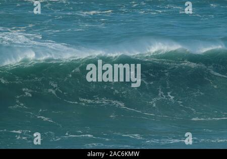 De 20 à 30 mètres (énorme XXL 70-100 pieds) des vagues à la plage Praia do Norte Portugal Nazare Banque D'Images