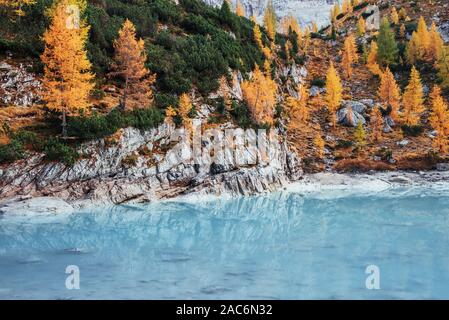 Jour d'automne dans les montagnes majestueuses. Arbres de couleur jaune sur les rochers. Beau bleu crystal lake Banque D'Images