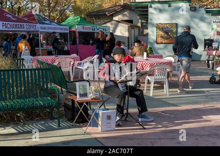 Davis, Californie, USA. 2 novembre 2019. Artiste du joueur d'accordéon à jouer sur le marché agricole local près de l'aire de restauration. Les agriculteurs Davis Ma Banque D'Images