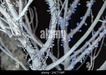 De pittoresques lumières de Noël et branches blanches créant une atmosphère de fête. Lumières ornement brillant blanc accroché à des branches. Banque D'Images