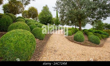 Beatuiful jardin paysager avec billes en buis près de Chateau d'Amboise dans la vallée de la Loire en France Banque D'Images