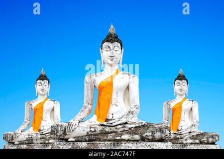 Der Wat Maha Bouddha qu'à Ayutthaya, Thaïlande, composer, Banque D'Images