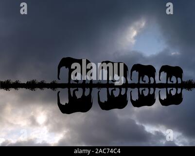 Elefantenfamilie spiegelt sich im Wasser bei einer Gewitterstimmung, Loxodonta africana, Banque D'Images