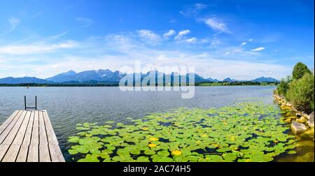 La belle campagne dans les contreforts des Alpes en Bavière Allgäu Banque D'Images