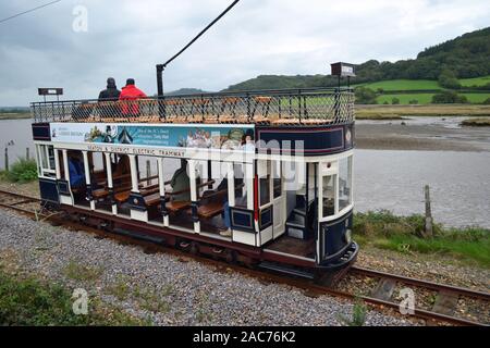 Un tram qui traverse la réserve naturelle des zones humides, Seaton, de Seaton Tramway, Devon, UK. Le tramway s'exécute trois miles de Seaton à Colyton. Banque D'Images