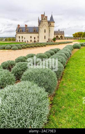 Amboise, France - 16 octobre 2019 : vue sur le magnifique parc et jardins du château d'Amboise haut au-dessus de l'ancien centre de la ville. Banque D'Images