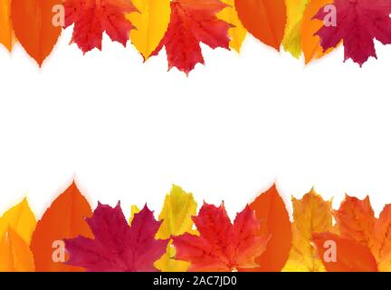 Automne Feuilles brillant naturel. Vector Illustration Illustration de Vecteur