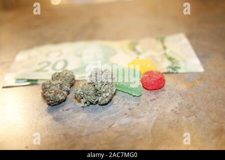 Cueillies de cannabis, de la marijuana médicale, CBD perfusé gummies et pot comestibles thème concept avec close up sur les ours gommeux colorés et les mauvaises herbes bourgeons sur dark Banque D'Images