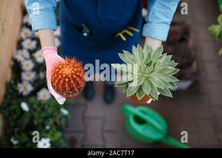 Jardinier femelle avec les mains accueil fleurs, shop Banque D'Images