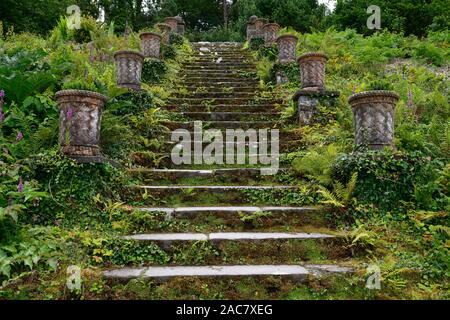 100 étapes, une centaine d'étapes,terrasse,voie,chemin,terrasses,Acer palmatum,terrasse,jardin,Bantry House and Gardens, West Cork Garden Trail Floral,RM Banque D'Images