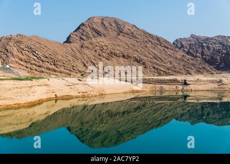 Wadi Beeh barrage dans la montagne Jebel Siae dans l'émirat de Ras Al Khaimah Emirats Arabes Unis Banque D'Images