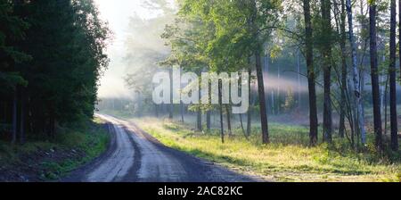 Les rayons de lumière à travers la brume du matin dans Bogesundslandet, près de Vaxholm, en Suède Banque D'Images