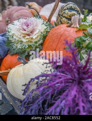 Récolte d'automne - automne fruits - légumes - aliments d'automne automne - Thanksgiving cornucopia - pommes poires melons courges citrouilles dans un affichage de l'action de grâce Banque D'Images