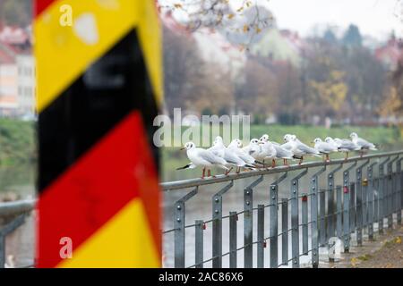 Görlitz, Allemagne. 18 Nov, 2019. Un marqueur de frontière de l'Allemagne vu à la Neisse de Lusace à Goerlitz.Zgorzelec et Goerlitz sont les villes partenaires de la région Euro Neisse située en Saxe (Allemagne) et Basse Silésie Crédit : Karol Serewis/SOPA Images/ZUMA/Alamy Fil Live News Banque D'Images