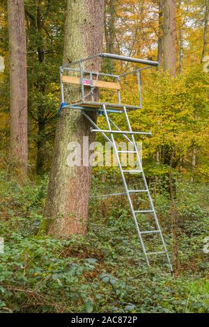 Un portable en bois et métal galvanisé ou plate-forme de prise de pied de l'arbre pour le tournage de Virginie à l'automne de hêtres près de Nettlebed, Oxfordshire Banque D'Images