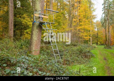 Un portable en bois et métal galvanisé ou plate-forme de prise de pied de l'arbre pour le tournage de Virginie à l'automne de hêtres près de Nettlebed, Oxfordshire Banque D'Images