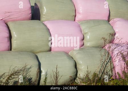 Rose de couleur vive et enveloppés dans du plastique vert foin rondes ou des bottes de paille empilées en plein soleil sur une ferme Banque D'Images