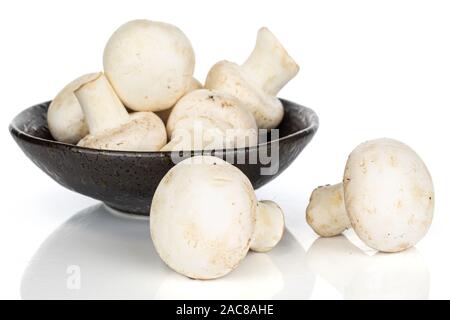 Beaucoup de blanc frais entier champignon/focus dans bol vitrage isolé sur fond blanc Banque D'Images