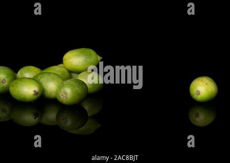 Beaucoup d'hardy kiwi vert isolé sur verre noir Banque D'Images