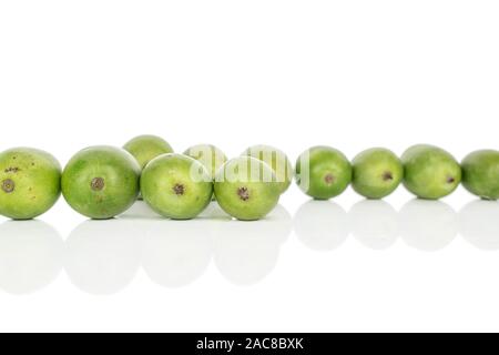 Beaucoup d'hardy dans la rangée de kiwi vert isolé sur fond blanc Banque D'Images