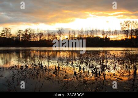 Coucher de soleil sur un front de lac dans le New Jersey avec de l'eau réfléchissant avec des nuages et la silhouette. Ciel aux couleurs éclatantes et aux mauvaises herbes qui poussent sur les terres avant. Banque D'Images