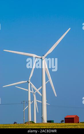 Éoliennes dans le champ avec ciel bleu Banque D'Images