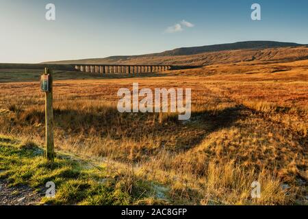 Le Viaduc de Ribblehead Viaduc Moss Batty ou régler le porte-fer au Carlisle Batty Moss dans la vallée de Ribble, à Ribblehead, en Amérique du Yorksh Banque D'Images