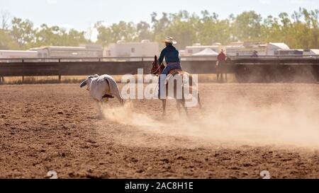 Un cowboy arrondit un veau dans un camp, la rédaction de la concurrence dans l'arène d'un poussiéreux rodeo Banque D'Images