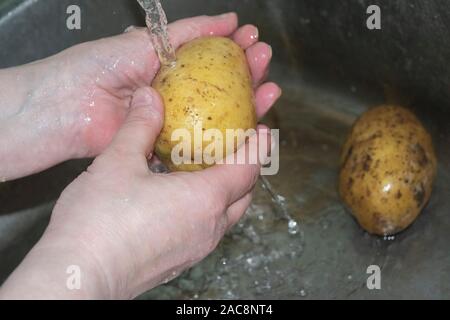 Les mains des hommes se laver sous l'eau les pommes de terre non nettoyés. La cuisine maison. Close up. Banque D'Images