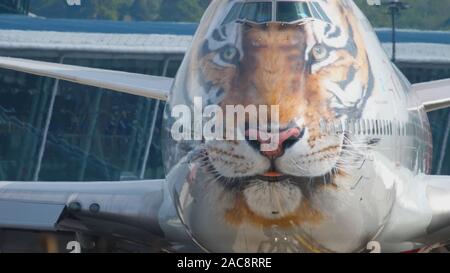 Photo Rossiya Tigers Livery Banque D'Images