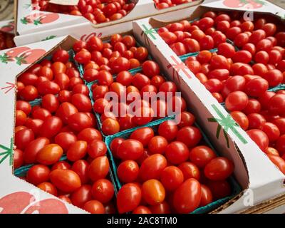 Beaucoup de sauce tomates à la vente aux enchères, un Juniata Produire du marché de gros des Amish Mifflintown, Juniata Comté, New York, USA Banque D'Images