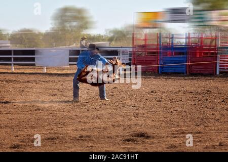 Un cowboy lier un veau après qu'il a un pays à lassoed rodeo en Australie Banque D'Images