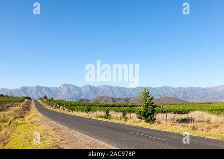 La conduite par les Robertson Wine Valley dans la lumière du soir, Western Cape Winelands, Afrique du Sud. Longue route menant à la montagnes Langeberg Banque D'Images