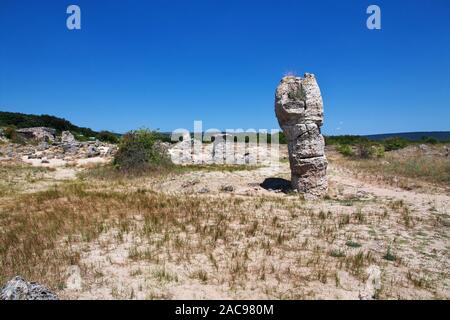 Forêt de pierre, Pobiti Kamani, Varan en Bulgarie Banque D'Images