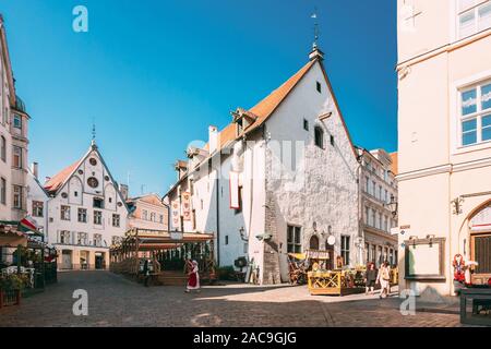 Tallinn, Estonie - Juillet 26, 2014 : Jeune femme habillé en costume folklorique traditionnel marche robe dans la vieille ville près de la place de l'Hôtel de ville en journée ensoleillée Banque D'Images