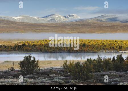 Avsjoen, montagne, Berg, ciel couvert, wolkenverhangen daemerung., Dawn, Oppland, Norvège, Norvège, nordeuropa, nord de l'Europe, Banque D'Images
