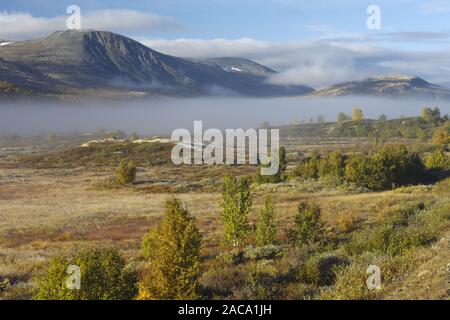 Avsjoen, montagne, Berg, ciel couvert, wolkenverhangen daemerung., Dawn, Oppland, Norvège, Norvège, nordeuropa, nord de l'Europe, Banque D'Images