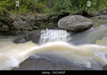 Rivière Lamtakong, Khao Yai NP, Thaïlande Banque D'Images