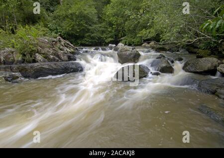 Rivière Lamtakong, Khao Yai NP, Thaïlande Banque D'Images