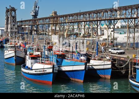 Bateaux de pêche colorés, Harbour, Cape Town, Afrique, Afrique du Sud Banque D'Images