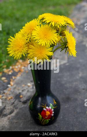 Bouquet de fleurs jaune printemps pissenlit dans un vase Banque D'Images