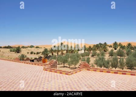 La végétation des dunes et des dunes de sable au bord du désert, Erg Chebbi, Maroc, Afrique Banque D'Images