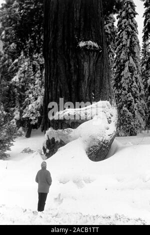 Reise durch Frankreich, 1962. Bien que les voyages en Californie, 1962. Banque D'Images