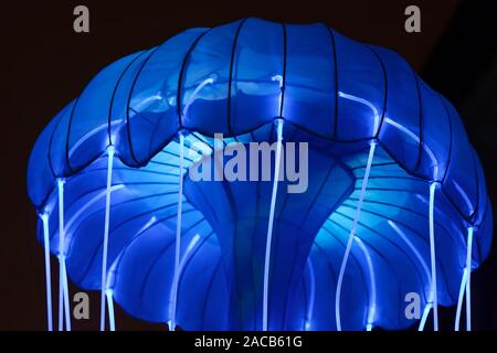 Paris, France. 1er décembre 2019. 'Océan sur la voie de l'Illumination", festival des lumières du Jardin des Plantes à Paris, France. Banque D'Images