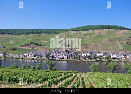 Le romantique village viticole de Zell an der Mosel, Rhénanie-Palatinat, Allemagne, Europe Banque D'Images