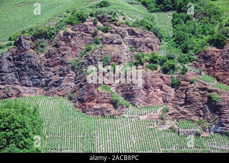 Vignoble Le site et les roches dans la région viticole allemande, la Moselle vallée de la Moselle, Rhénanie-Palatinat, Allemagne, Europe Banque D'Images