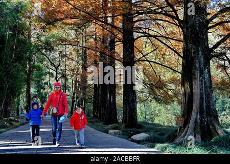 Qingdao, Chine, province du Fujian. 2 Décembre, 2019. Notre établissement "Tuteng Impression Hotel Tiyuan touristes visitent le quartier pittoresque de Wuyi Mountain, le sud-est de la province de Fujian en Chine, le 2 décembre 2019. Wuyi Mountain a été accepté comme une protection du patrimoine culturel et naturel du site par l'UNESCO en 1999. Credit : Zhang Guojun/Xinhua/Alamy Live News Banque D'Images