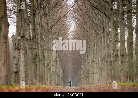 Hanovre, Allemagne. 09Th Nov, 2019. Un homme marche dans les manoirs. Credit : Sina Schuldt/DPA - ATTENTION : Utiliser uniquement en plein format/dpa/Alamy Live News Banque D'Images